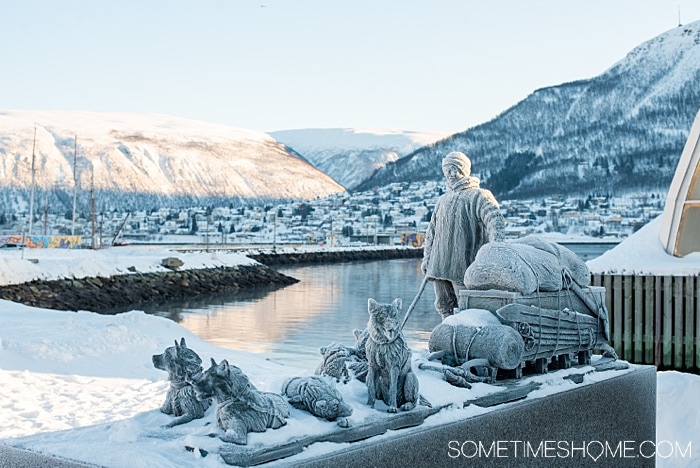 Tromso winter photos that will inspire you to travel to northern Norway during January or February. See bucket list things like Aurora Borealis (the Northern Lights), or participate in tours and things to do like feeding reindeer and taking a beautiful sleigh ride in the snow. #northernlights #sometimeshome #auroraborealis #reindeerfeeding #sleighride #tromsonorway #norway #tromsoinfebruary #tromsonorwayphotography