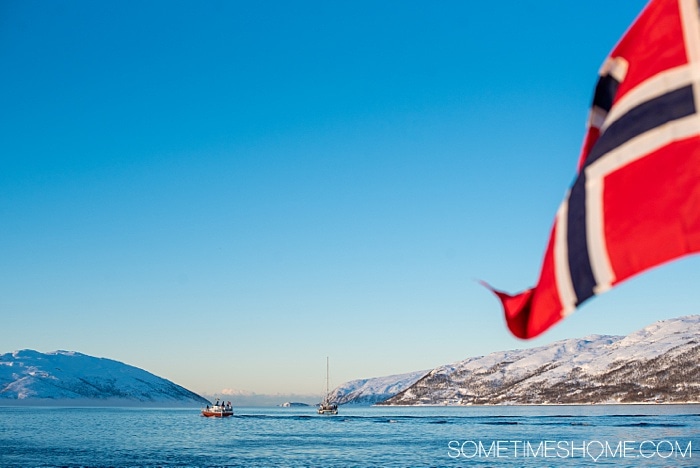 Tromso winter photos that will inspire you to travel to northern Norway during January or February. See bucket list things like Aurora Borealis (the Northern Lights), or participate in tours and things to do like feeding reindeer and taking a beautiful sleigh ride in the snow. #northernlights #sometimeshome #auroraborealis #reindeerfeeding #sleighride #tromsonorway #norway #tromsoinfebruary #tromsonorwayphotography