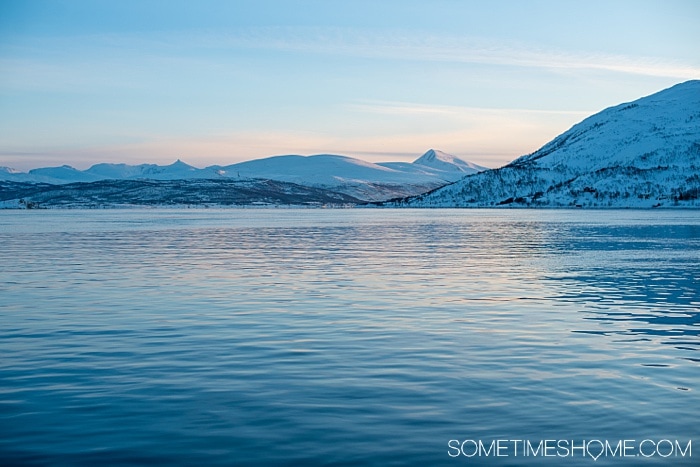 Tromso winter photos that will inspire you to travel to northern Norway during January or February. See bucket list things like Aurora Borealis (the Northern Lights), or participate in tours and things to do like feeding reindeer and taking a beautiful sleigh ride in the snow. #northernlights #sometimeshome #auroraborealis #reindeerfeeding #sleighride #tromsonorway #norway #tromsoinfebruary #tromsonorwayphotography