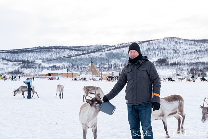 Things to do in Tromso Norway via excursions you will love! This city in the Arctic Circle is perfect to see the Northern Lights, or Aurora Borealis, and travel during winter for beautiful snow photography. We have the inside info on the tours to see all of it from reindeer experiences to Fjord cruises. #TromsoNorway #ArcticCircle #SometimesHome #NorthernNorway #TromsoNorwayPhotography #TromsoNorwayWinter