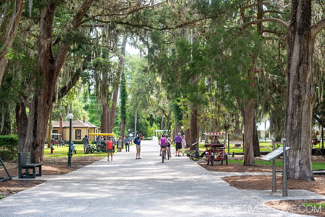 Things to do in Jekyll Island, Georgia, including restaurants with great food, beaches with iconic driftwood, sea turtles and hotel resorts for your vacation. If you're looking for a beautiful U.S. state to travel to for your trip this is a great destination. #JekyllIlsand #Georgia #eastcoast | Georgia | Beach Destinations | US Travel destinations by Sometimes Home