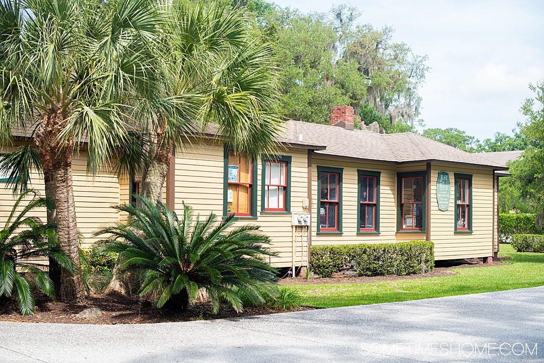 Things to do in Jekyll Island, Georgia, including restaurants with great food, beaches with iconic driftwood, sea turtles and hotel resorts for your vacation. If you're looking for a beautiful U.S. state to travel to for your trip this is a great destination. #JekyllIlsand #Georgia #eastcoast | Georgia | Beach Destinations | US Travel destinations by Sometimes Home