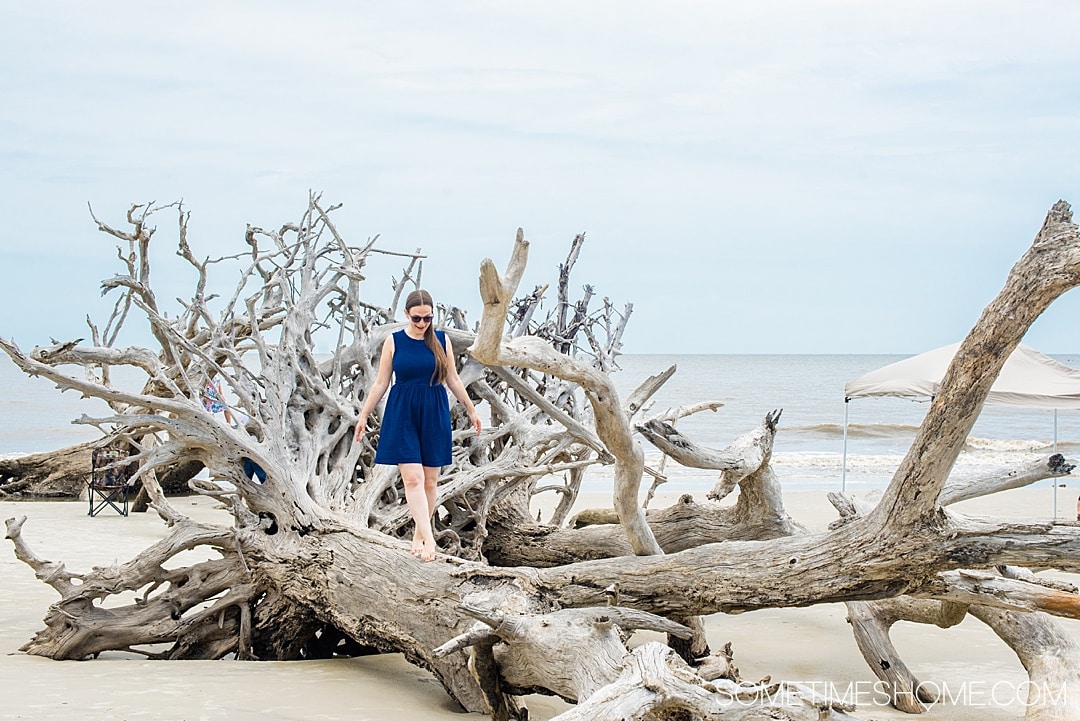 Things to do in Jekyll Island, Georgia, including restaurants with great food, beaches with iconic driftwood, sea turtles and hotel resorts for your vacation. If you're looking for a beautiful U.S. state to travel to for your trip this is a great destination. #JekyllIlsand #Georgia #eastcoast | Georgia | Beach Destinations | US Travel destinations by Sometimes Home