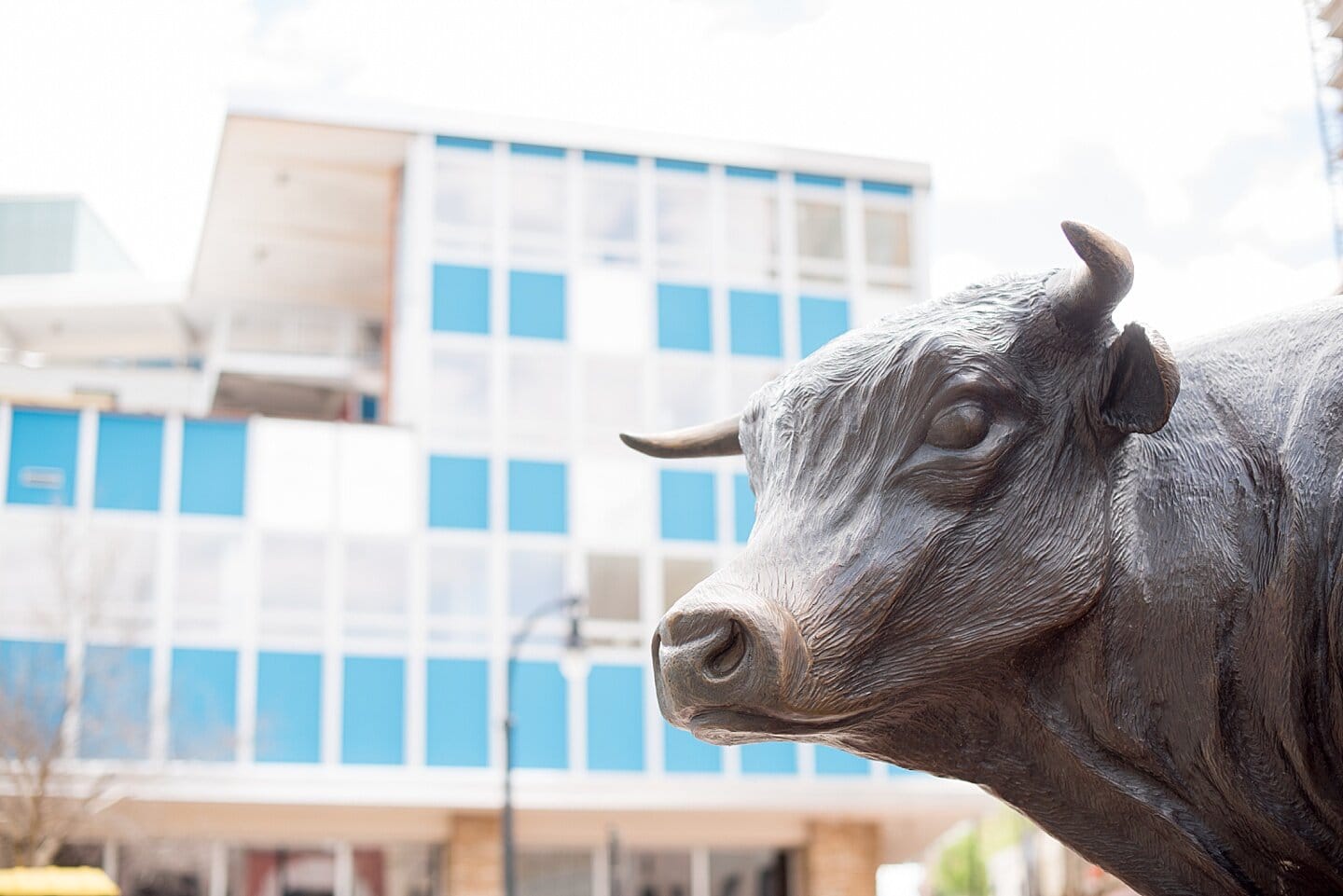 The Best Hotel Near the Durham Bulls Stadium