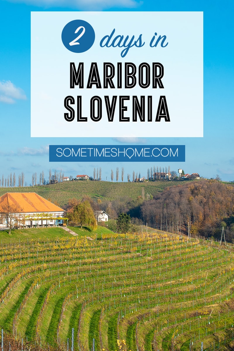 Wondering what things to do with two days in Maribor, Slovenia? From great food at one of the best restaurants in the nation, to wine and travel to vineyards, to ideal photography spots we have the best itinerary for a day in the historic city center and driving around the region. #Maribor #Slovenia #SometimesHome #SloveniaPhotography