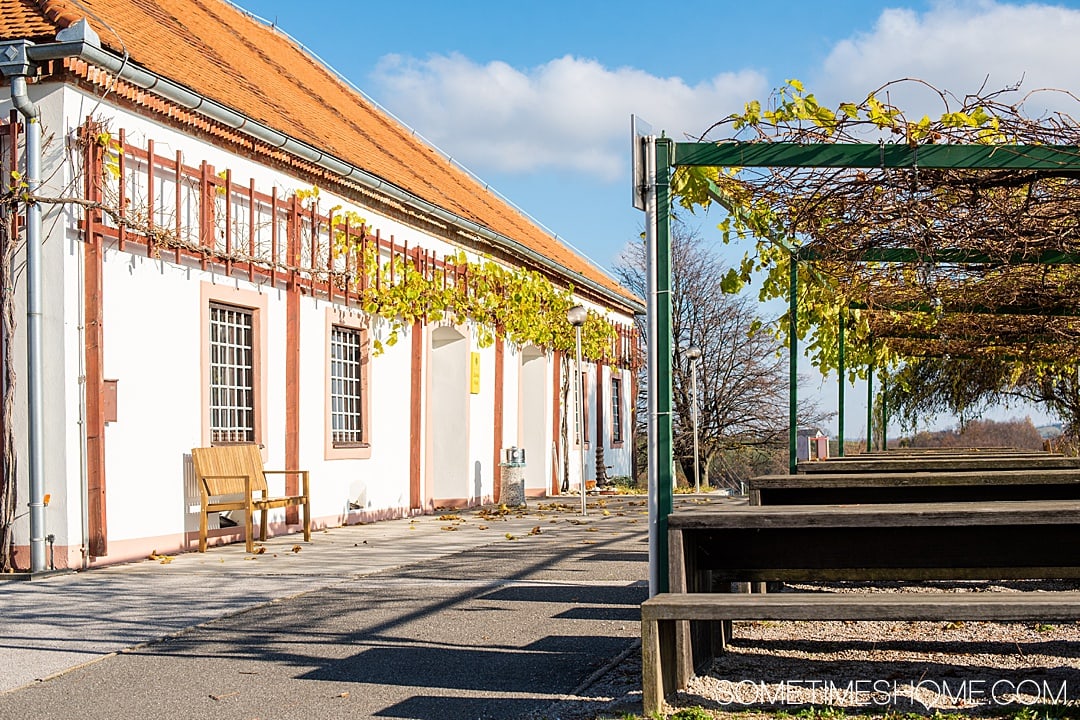 Wondering what things to do with two days in Maribor, Slovenia? From great food at one of the best restaurants in the nation, to wine and travel to vineyards, to ideal photography spots we have the best itinerary for a day in the historic city center and driving around the region. #Maribor #Slovenia #SometimesHome #SloveniaPhotography