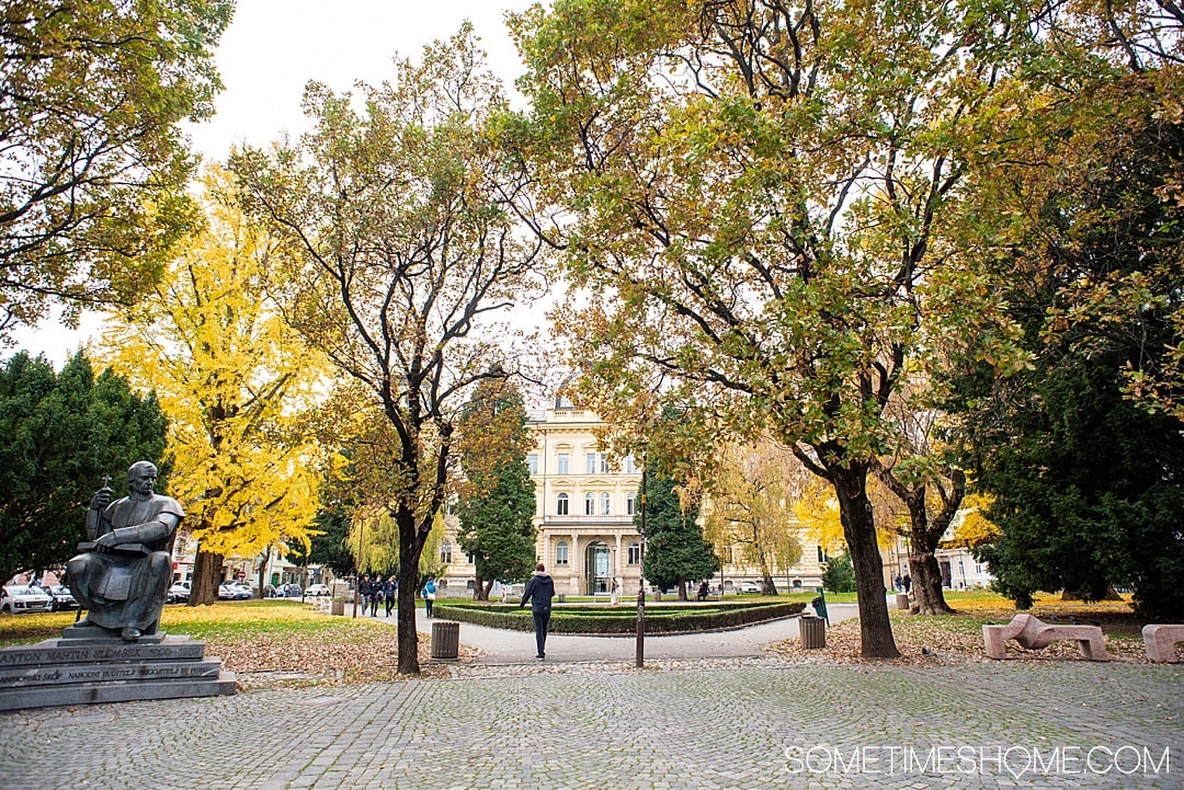 Maribor wine, the oldest vine and more things to do in this European city, whether it's winter, spring summer or fall. One of the prettiest cities in Slovenia has great food, drinks and important world history, including medieval walls and a castle and WWII history. #SometimesHome #WineTown #Maribor #Slovenia #OldestVine #MariborWine