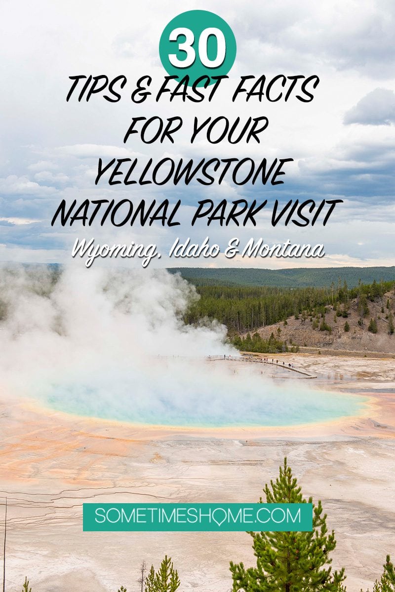 Heading to Wyoming, Montana or Idaho to go to one of the most beautiful national parks in the United States? We have helpful Yellowstone Tips and Facts for visting this breathtaking park, including photography, hiking and lodging info, things to do during your road trip there and must see areas and wildlife you may spot! Click through for additional information! #SometimesHome #YellowstoneTip #YellowstoneNationalPark #NPS #NationalParks #UnitedStatesParks #Wyoming #Montana #Idaho
