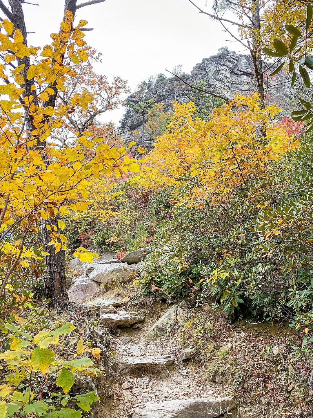 One of the best things to do in the North Carolina mountains is hike! And we have your guide to the best hiking near Morganton, NC in Burke County near the Blue Ridge Mountains. Fall colors were at their peak in the Appalachian Mountains range at the time we took this beautiful photography at Table Rock in Linville Gorge Wilderness area. #sometimeshome #besthikingnorthcarolina #autumncolors #peakfallleaves #blueridgemountains