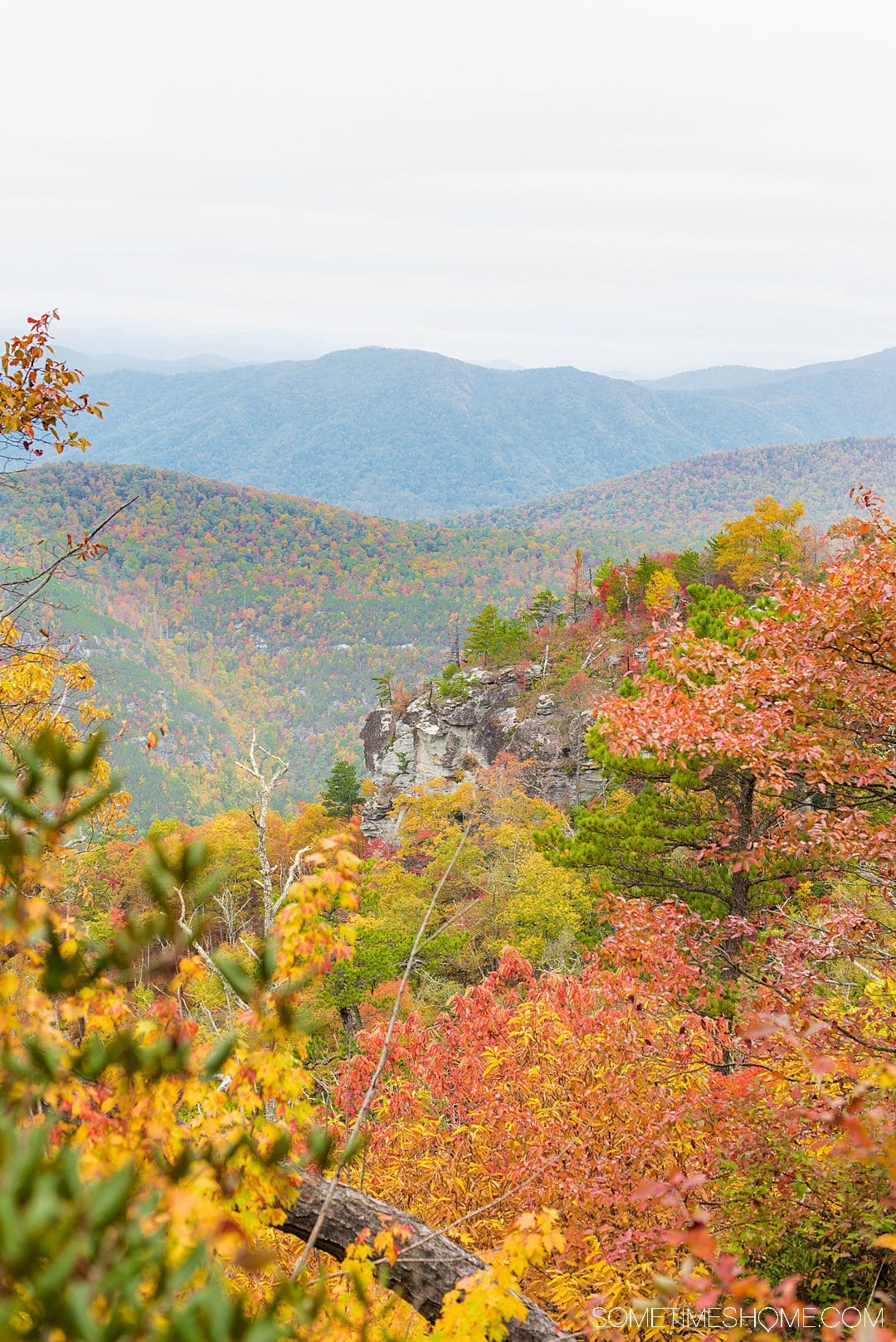 One of the best things to do in the North Carolina mountains is hike! And we have your guide to the best hiking near Morganton, NC in Burke County near the Blue Ridge Mountains. Fall colors were at their peak in the Appalachian Mountains range at the time we took this beautiful photography at Table Rock in Linville Gorge Wilderness area. #sometimeshome #besthikingnorthcarolina #autumncolors #peakfallleaves #blueridgemountains