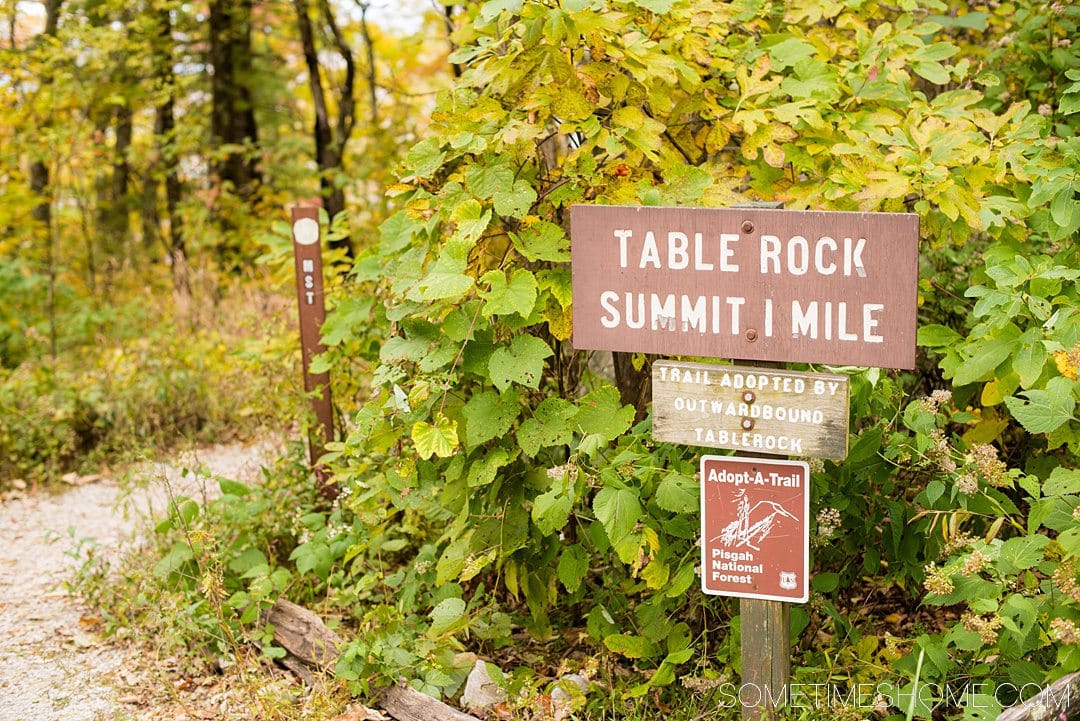 One of the best things to do in the North Carolina mountains is hike! And we have your guide to the best hiking near Morganton, NC in Burke County near the Blue Ridge Mountains. Fall colors were at their peak in the Appalachian Mountains range at the time we took this beautiful photography at Table Rock in Linville Gorge Wilderness area. #sometimeshome #besthikingnorthcarolina #autumncolors #peakfallleaves #blueridgemountains