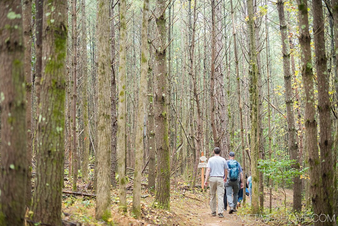 One of the best things to do in the North Carolina mountains is hike! And we have your guide to the best hiking near Morganton, NC in Burke County near the Blue Ridge Mountains. Fall colors were at their peak in the Appalachian Mountains range at the time we took this beautiful photography on Fonta Flora trail. #sometimeshome #besthikingnorthcarolina #autumncolors #peakfallleaves #blueridgemountains