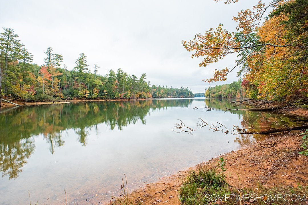 One of the best things to do in the North Carolina mountains is hike! And we have your guide to the best hiking near Morganton, NC in Burke County near the Blue Ridge Mountains. Fall colors were at their peak in the Appalachian Mountains range at the time we took this beautiful photography on Fonta Flora trail to Lake James. #sometimeshome #besthikingnorthcarolina #autumncolors #peakfallleaves #blueridgemountains