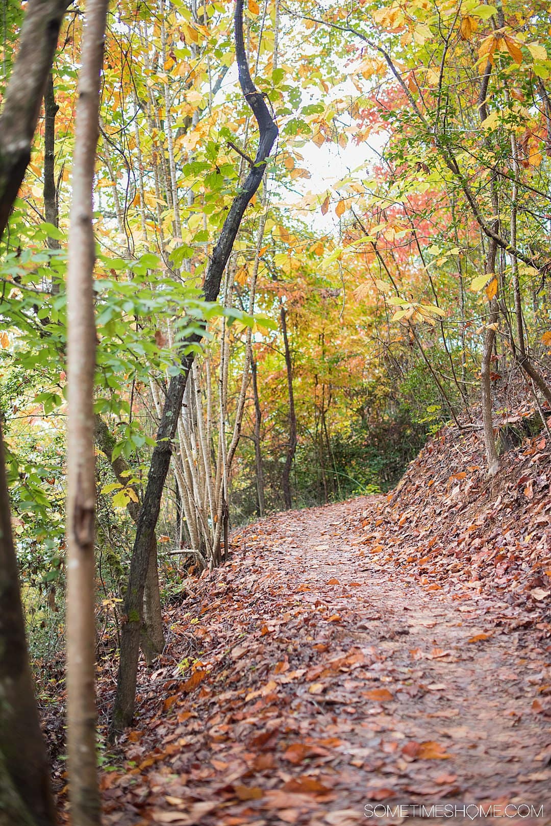 One of the best things to do in the North Carolina mountains is hike! And we have your guide to the best hiking near Morganton, NC in Burke County near the Blue Ridge Mountains. Fall colors were at their peak in the Appalachian Mountains range at the time we took this beautiful photography on Fonta Flora trail. #sometimeshome #besthikingnorthcarolina #autumncolors #peakfallleaves #blueridgemountains