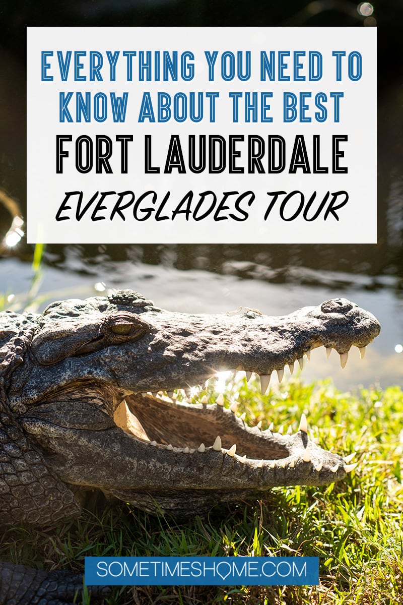 Fort Lauderdale Everglades tour of Everglades National Park in Florida, also easily accessible from Miami, with pictures of what to expect on an airboat ride in addition to alligators. #evergladesnationalpark