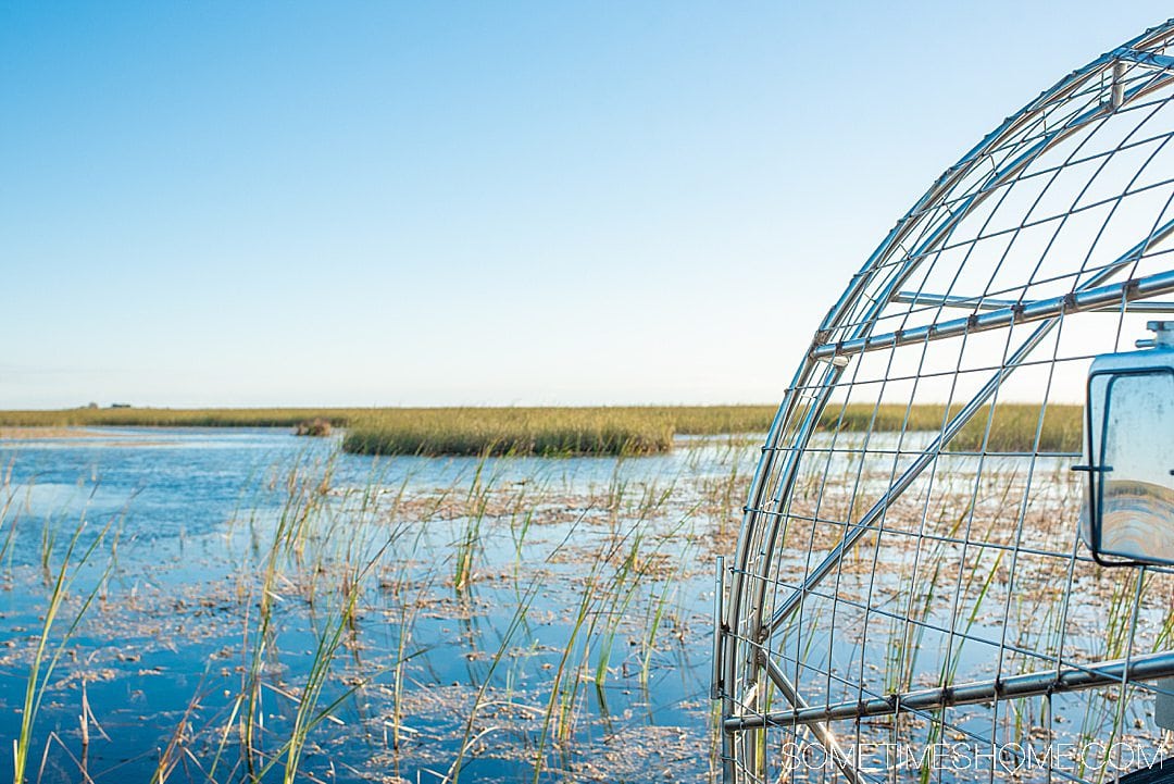 Fort Lauderdale Everglades tour of Everglades National Park in Florida, also easily accessible from Miami, with pictures of what to expect on an airboat ride in addition to alligators. #evergladesnationalpark