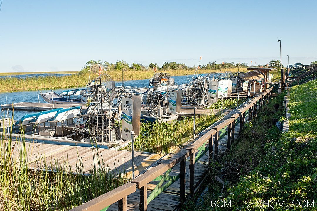 Fort Lauderdale Everglades tour of Everglades National Park in Florida, also easily accessible from Miami, with pictures of what to expect on an airboat ride in addition to alligators. #evergladesnationalpark