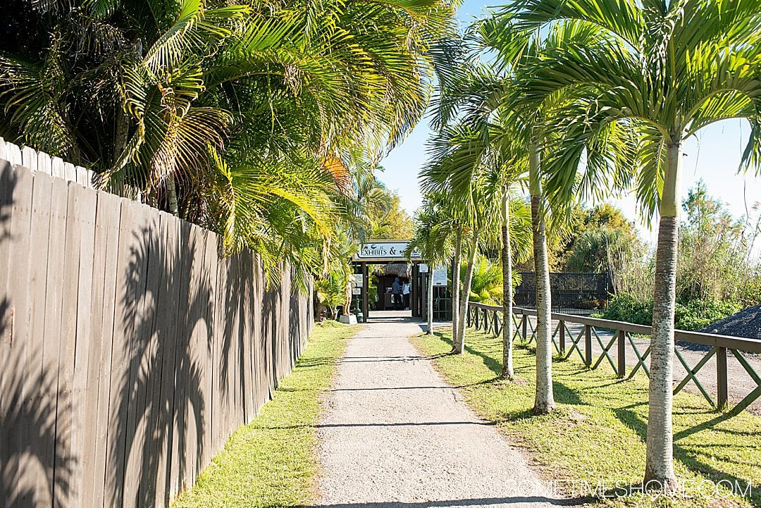 Fort Lauderdale Everglades tour of Everglades National Park in Florida, also easily accessible from Miami, with pictures of what to expect on an airboat ride in addition to alligators. #evergladesnationalpark