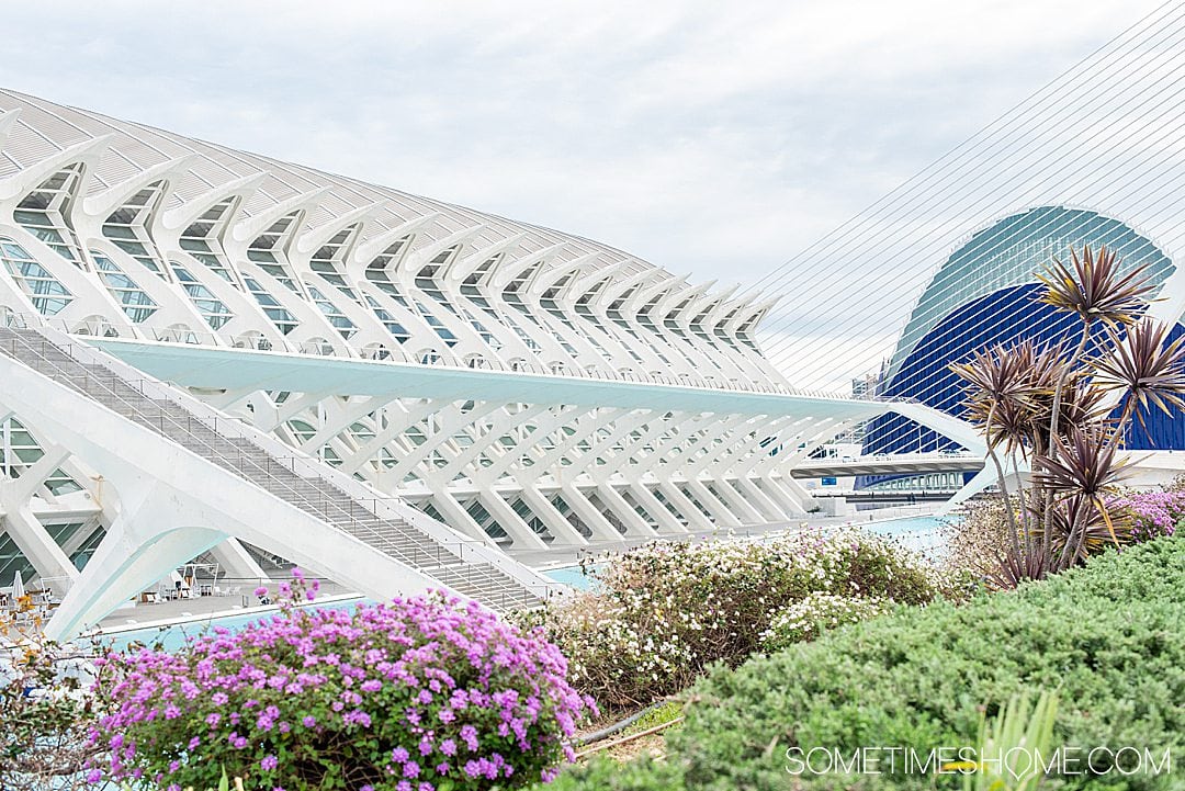 Museu de les Ciències in Valencia Spain, a modern building in the City of Arts and Sciences.