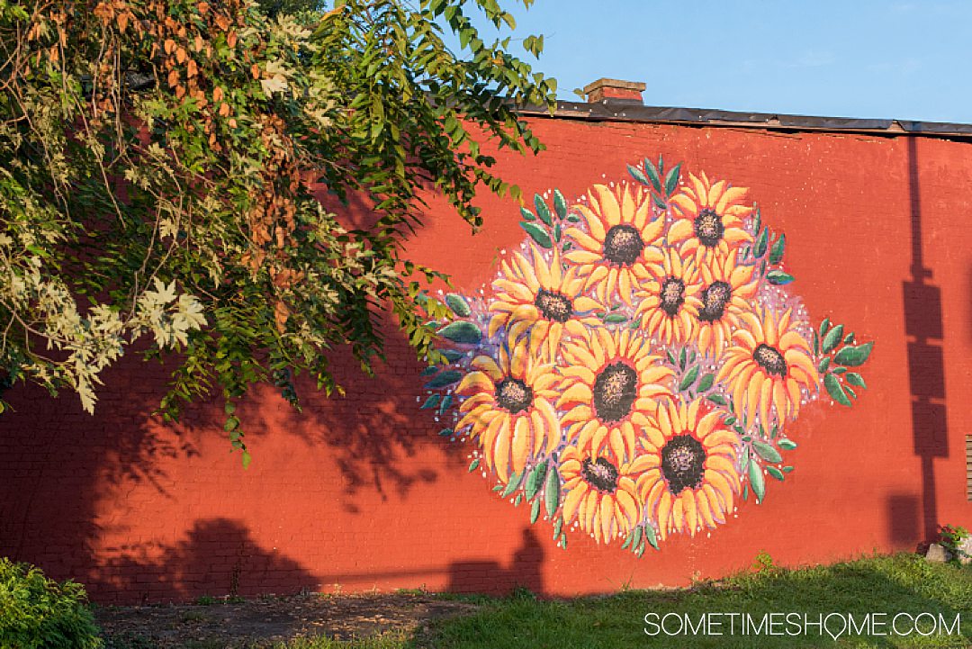 Mural of sunflowers on a red brick wall in Staunton, Virginia.