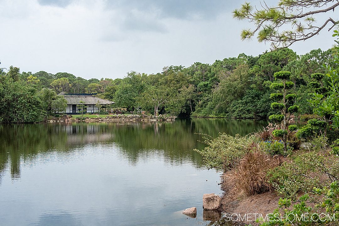 Things to do around Fort Lauderdale, Florida from new locals who lived in Florida for six months. Click through to see the unique places the locals go in this South Florida city including where to find this gorgeous Japanese garden. #SometimesHome #FortLauderdale #Florida