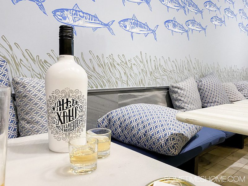 What to Eat in Valencia Spain that's Delicious and Traditional