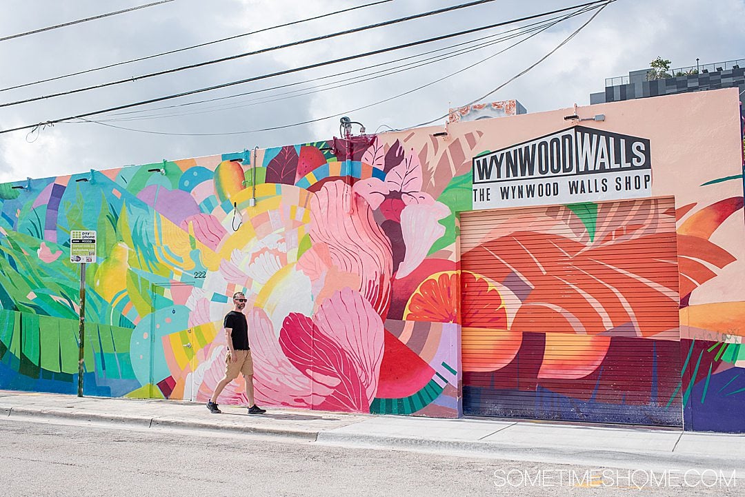 are dogs allowed at wynwood walls