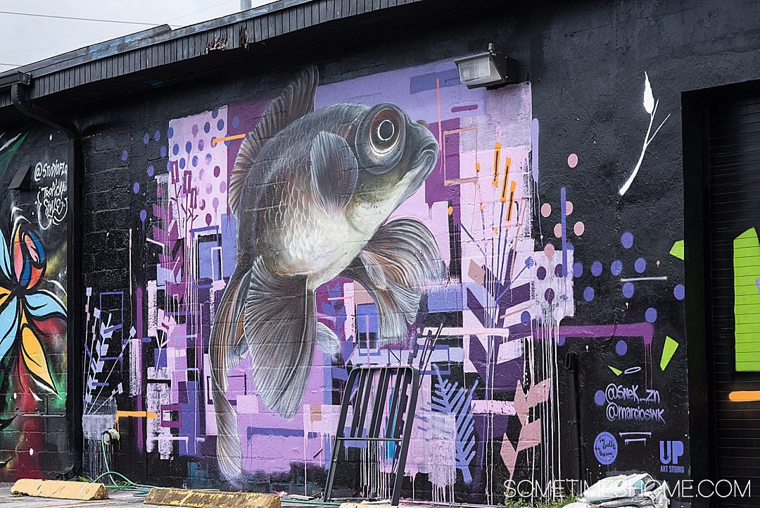 Beautiful fish mural in Wynwood. Sometimes Home travel blog spills all the details of this cool neighborhood.
