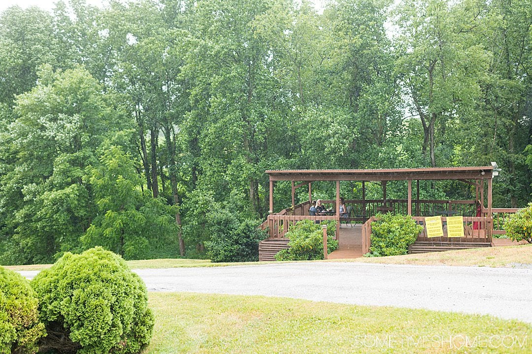 Covered patio in the trees