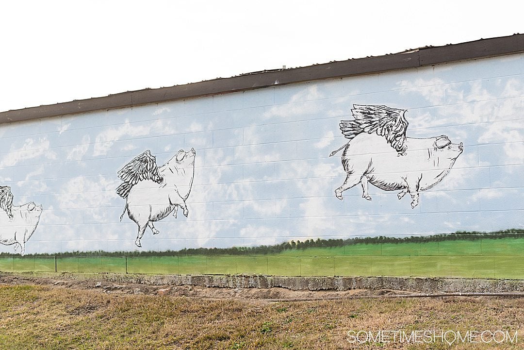 Flying pigs mural in Goldsboro, NC