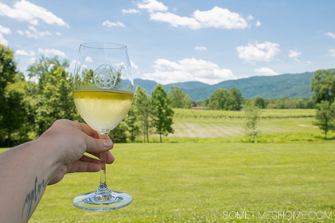 Best Wineries To Visit In Virginia S Charlottesvile Area