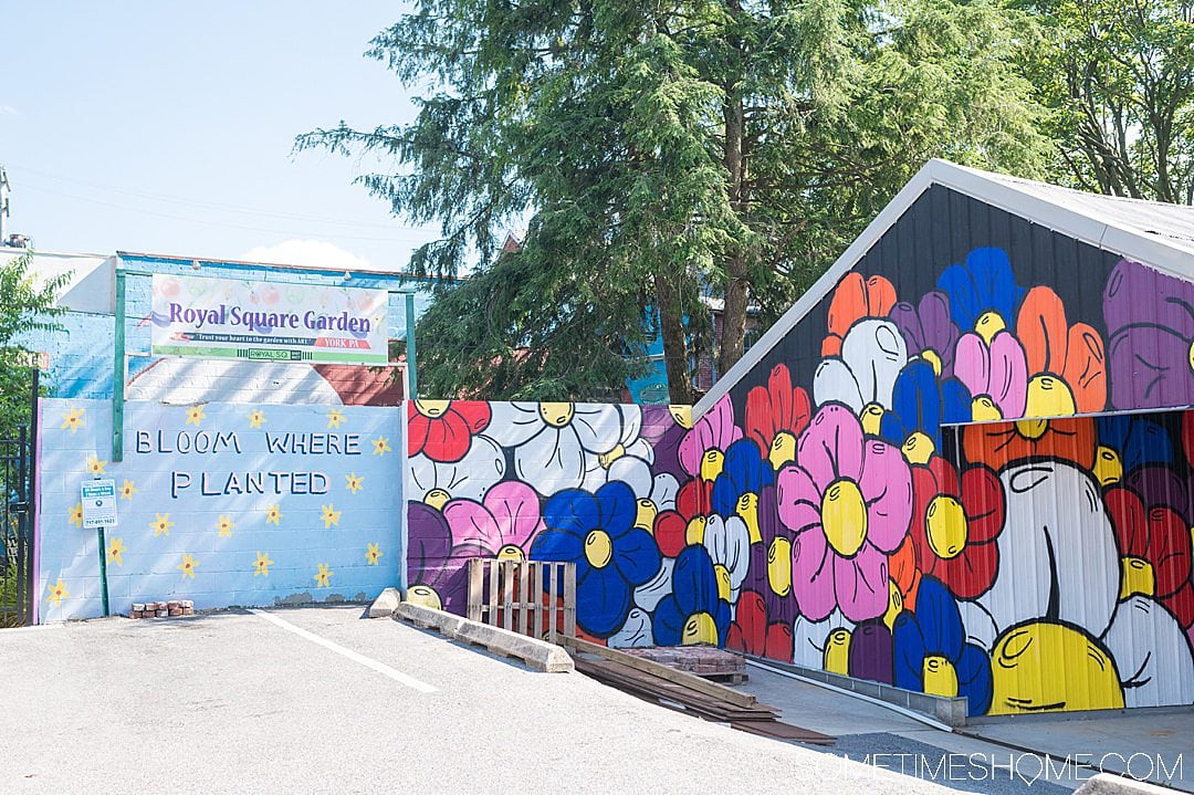 Colorful flowers mural in York, PA