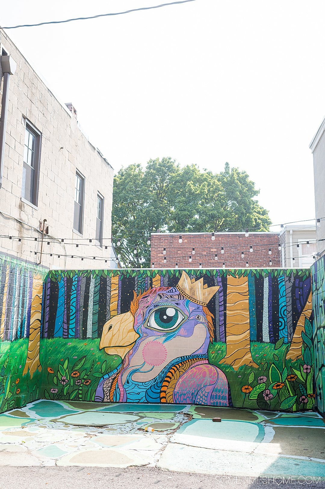 Colorful mural with a bird in York, PA