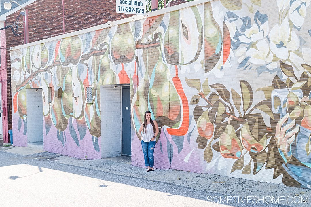 Mural with pears and shapes in York, PA