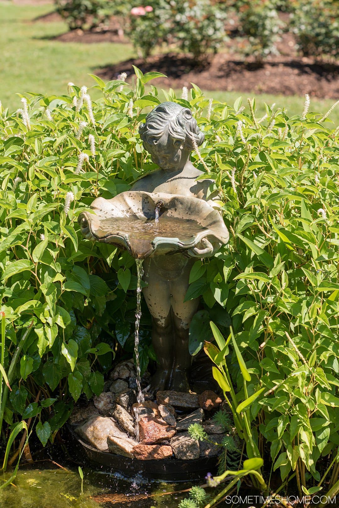 Photo of a fountain statue of a boy holding a shell with water flowing from it in Raleigh, NC.