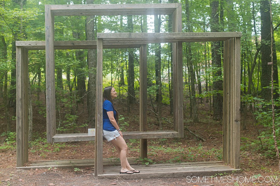 Wood sculptures in the woods by The Siena Hotel at the University of Chapel Hill.