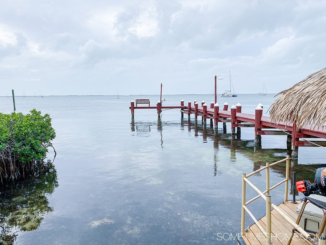 Landscape view of the water