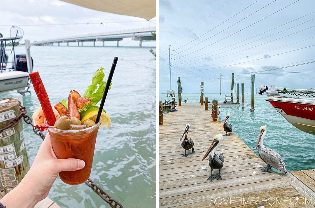 Two side by side photos: a bloody mary cocktail and pelicans on a dock.