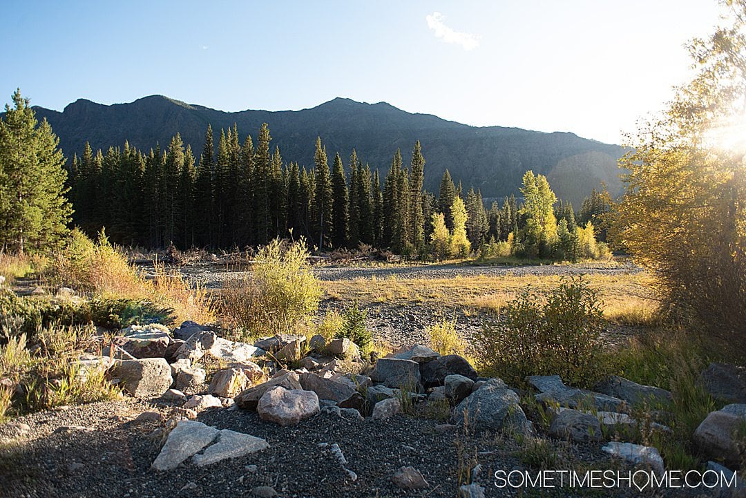 Green trees and blue sky with mountains in the distance and rocks in the foreground at the start of Beartooth Pass, a Scenic drive of America.