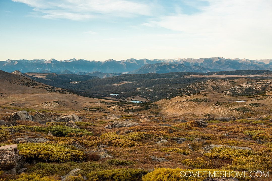  Fantastisk utsikt til fjellene med brunt gress i forgrunnen på den naturskjønne kjøreturen Til Beartooth Highway.