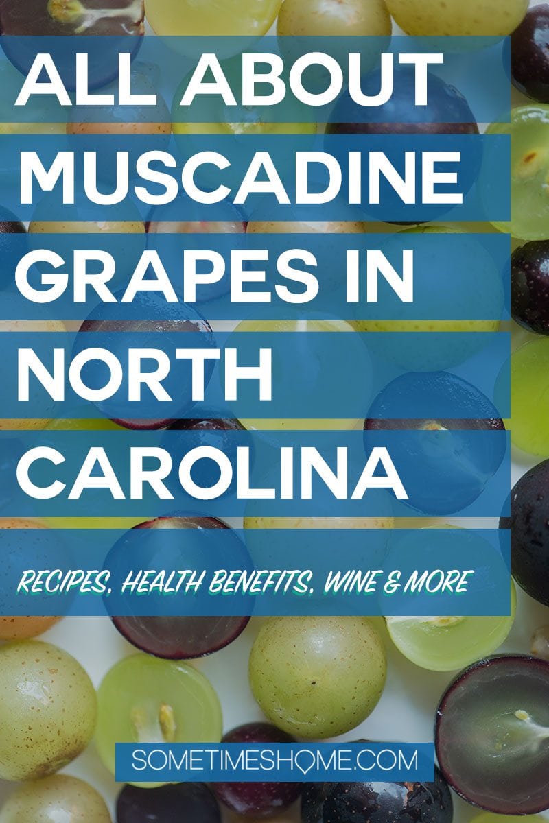 NC muscadine grapes Pinterest graphic