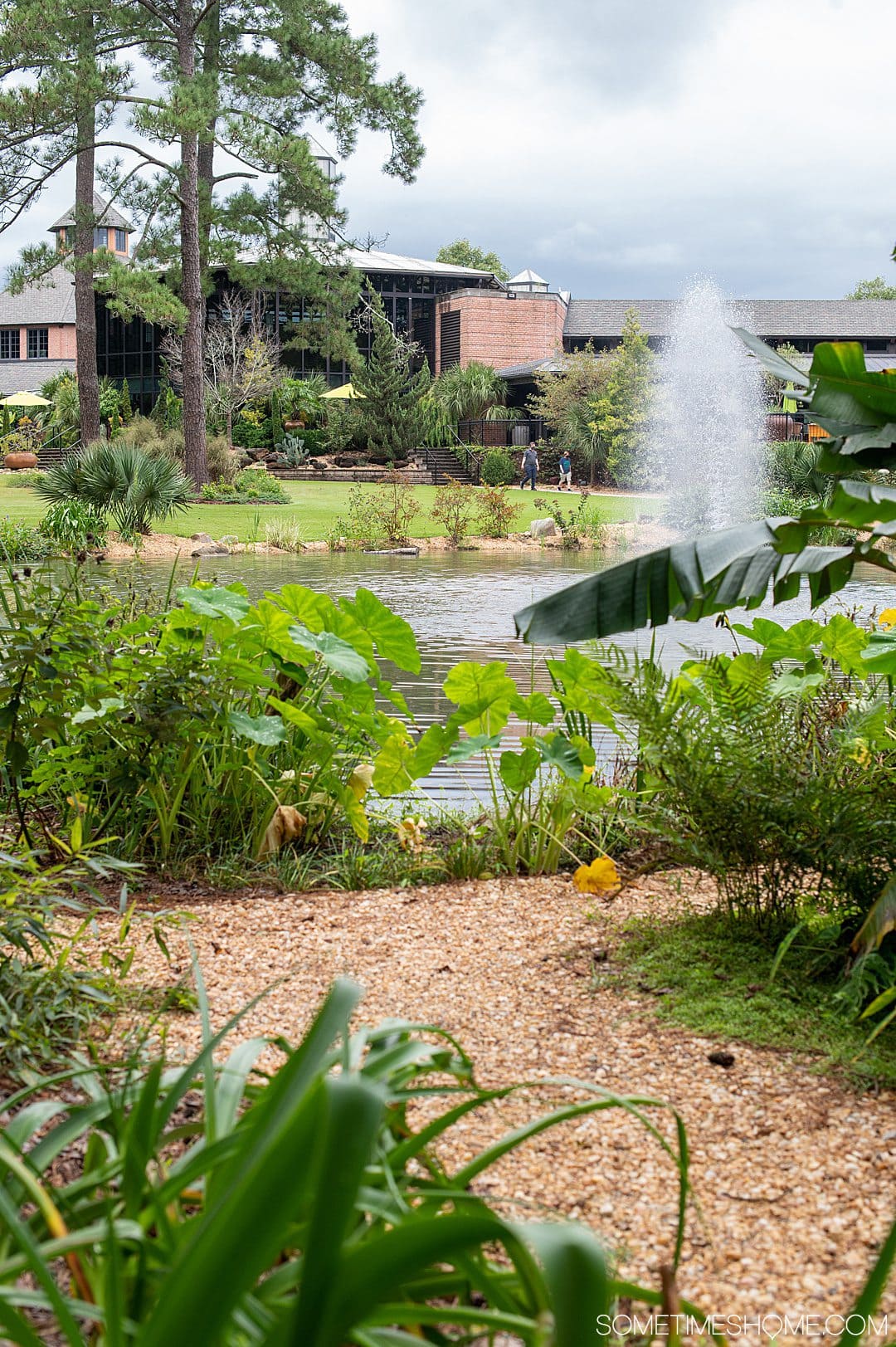 A view of tropical foliage and a lake with a water fountain in the middle at Cape Fear Botanical gardens.