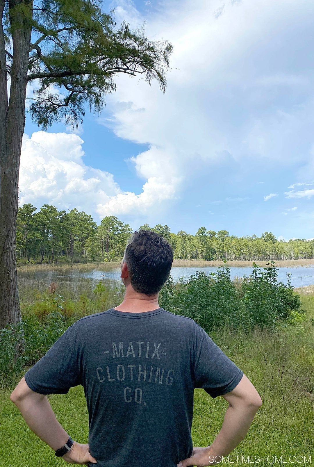 Blue skies over a lake and greenery at Carvers Creek State Park.