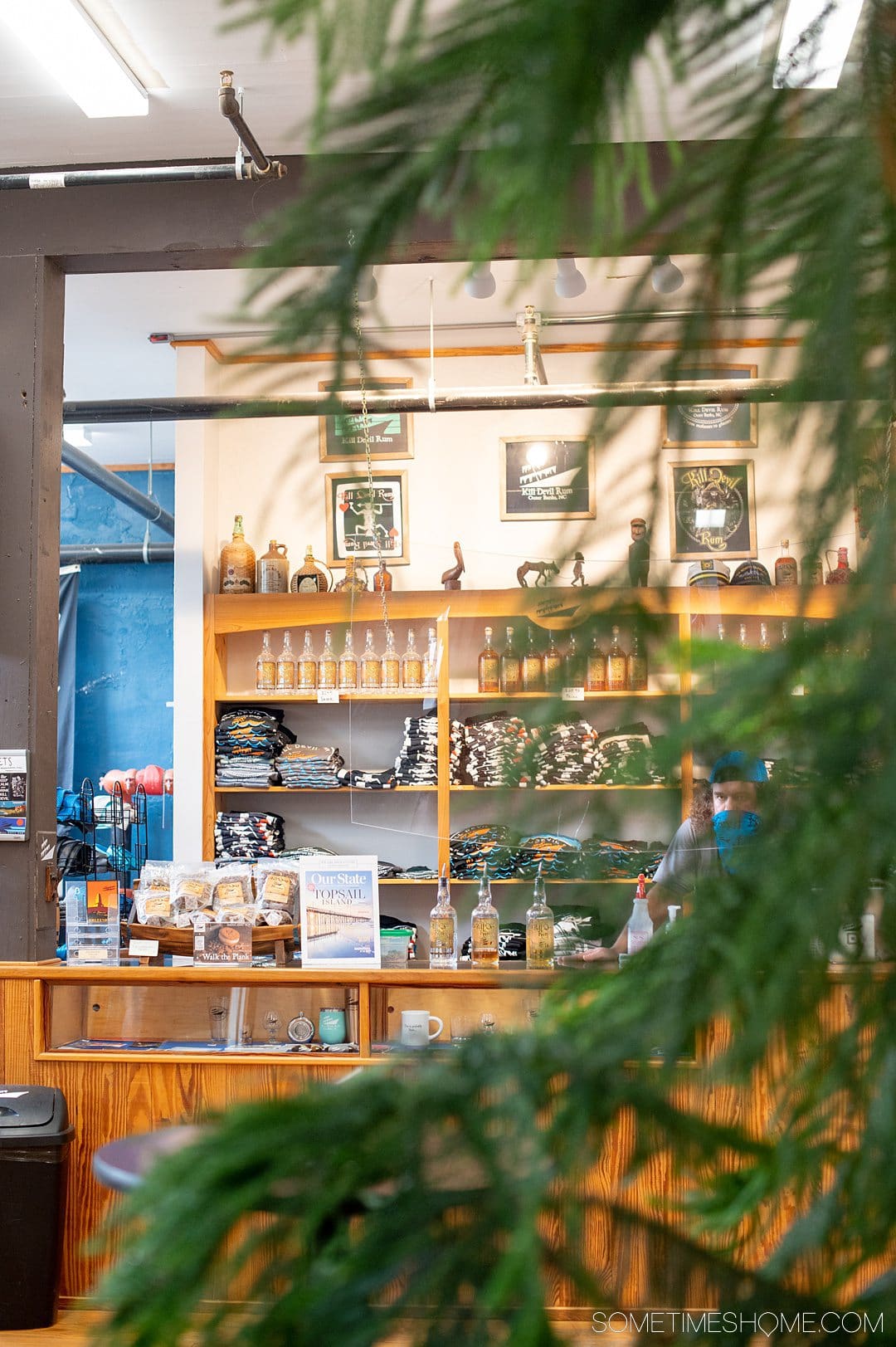 Pine tree branches and leaves in the foreground with merchandise shelves inside a distillery in the background at Outer Banks Distilling in North Carolina.