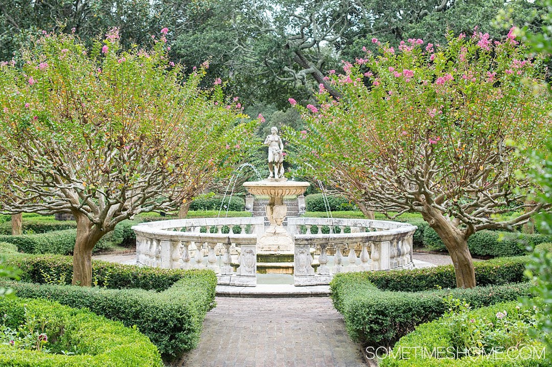 The sunken garden, a formal English garden, at the Elizabethan Gardens on Roanoke island in the Outer Banks, surrounded by pink flowers Crape Myrtle trees. 