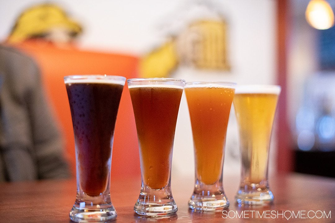 Four small pours of beer in a row for a flight in the Outer Banks.