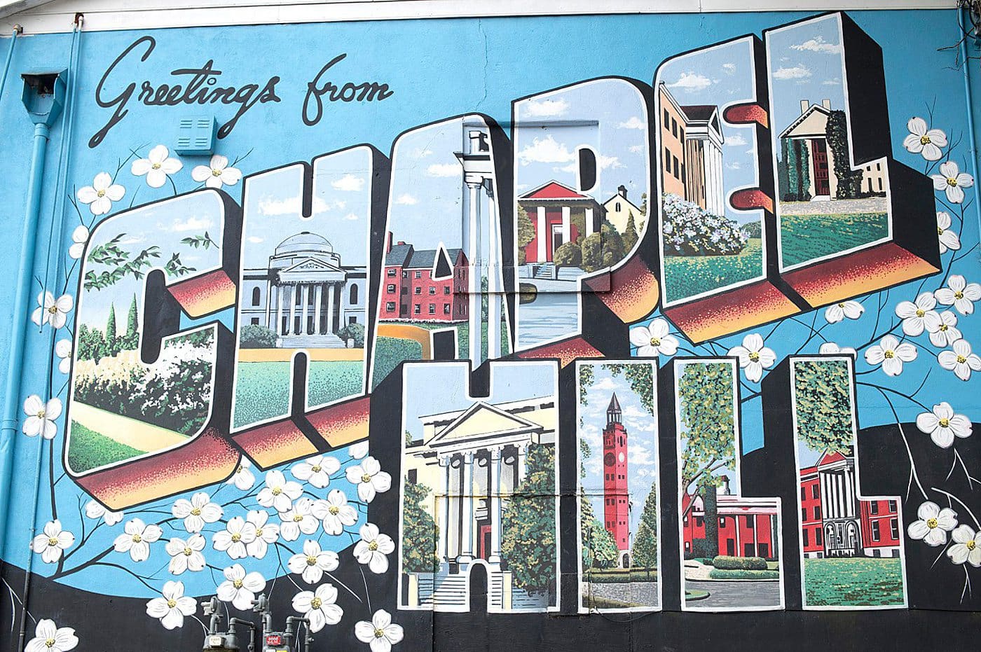 Great Murals in Chapel Hill on and Near Franklin Street