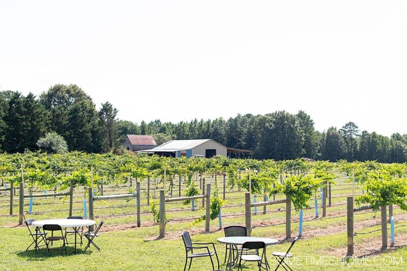 Relaxing Day of Things to Do in Warrenton, North Carolina