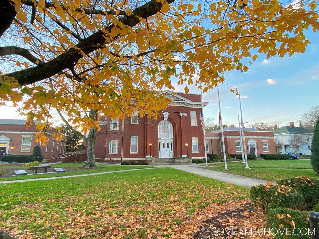 Yellow leaves in the foreground and a blue sky in the background above a brick building, which is a courthouse in Warrenton, NC.