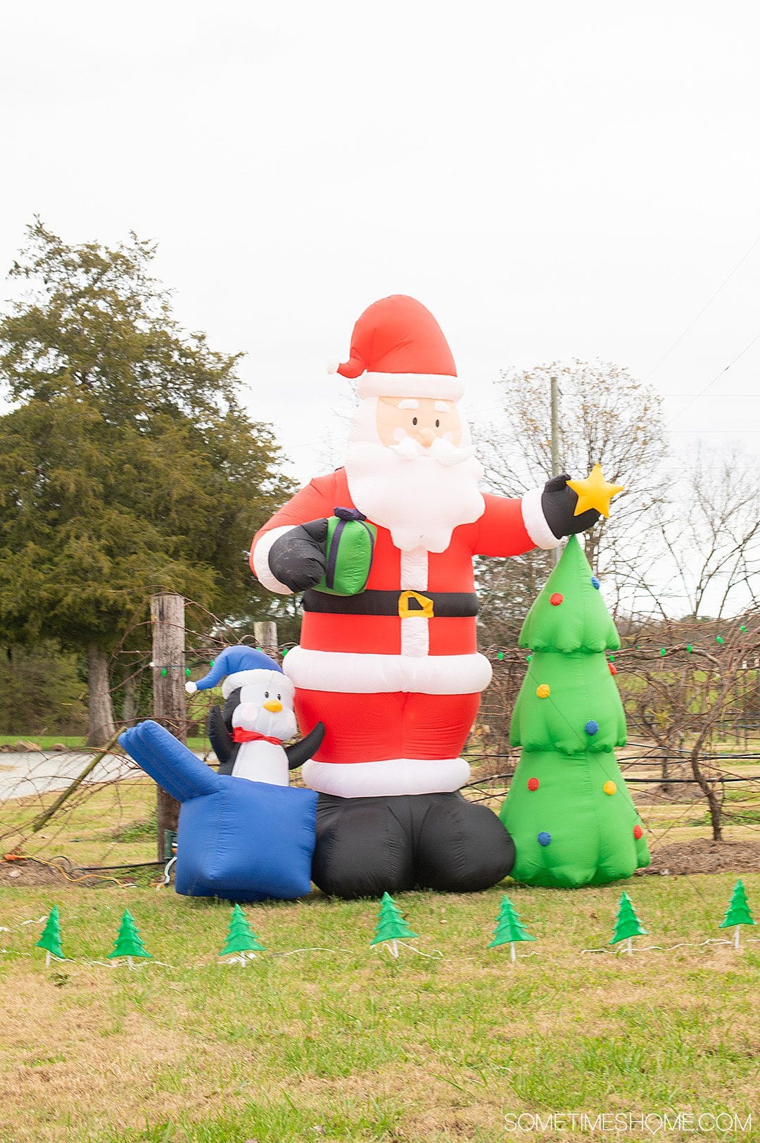 Inflatable display of Santa Claus, a tree and penguin for winter activities in North Carolina.